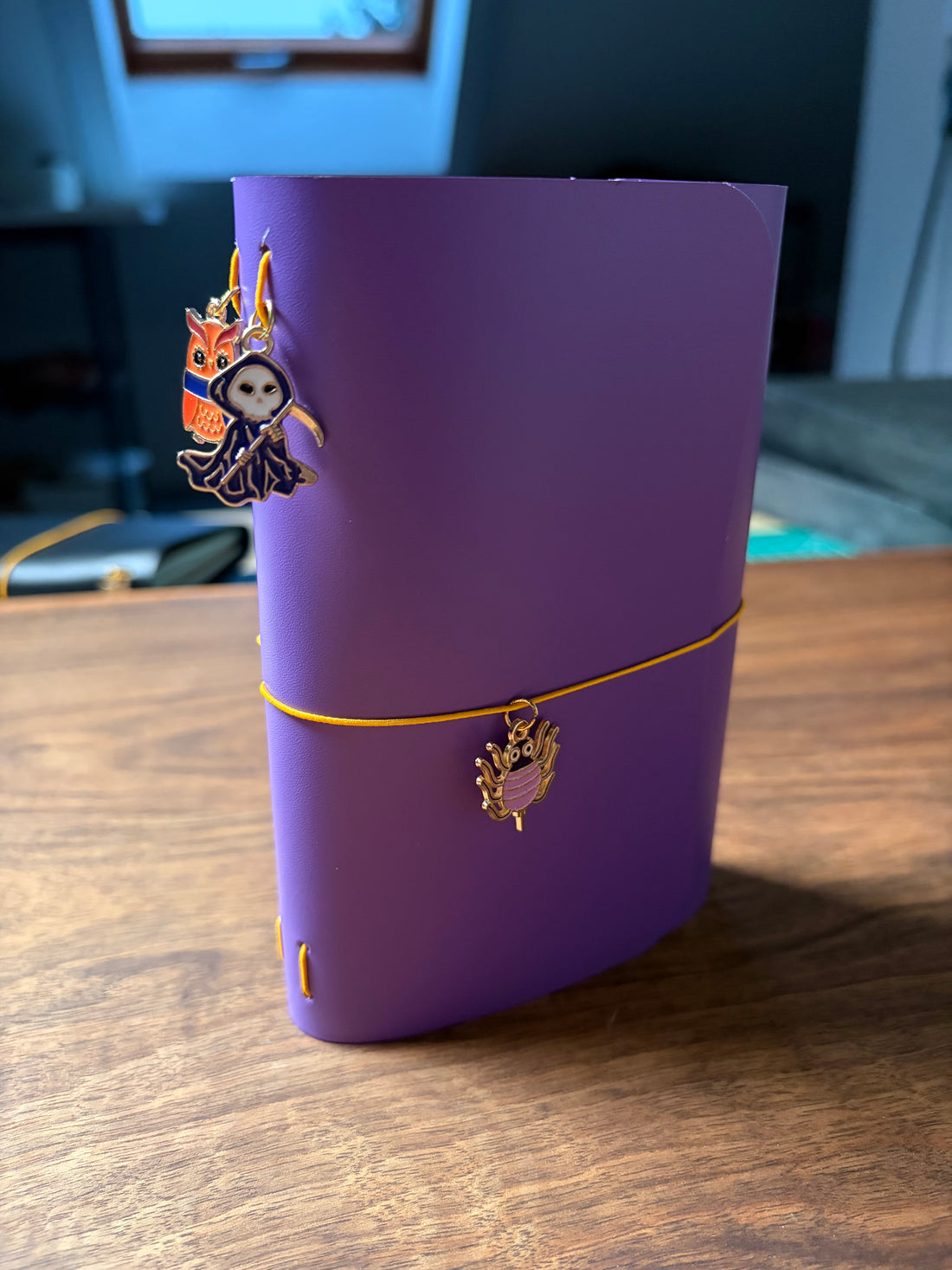 Pocket Size Purple Halloween Journal Cover
